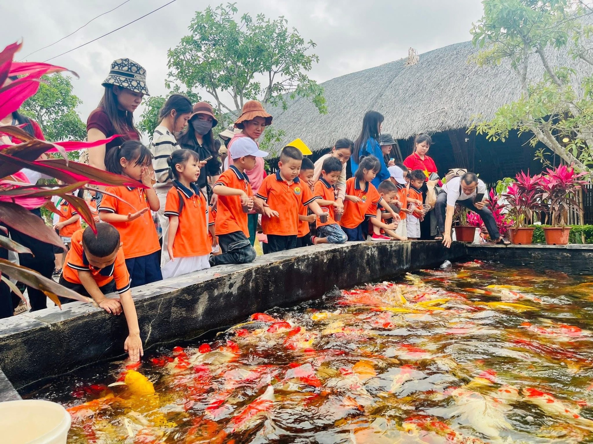 655968938 1613860440473026 2713343189467861015 n